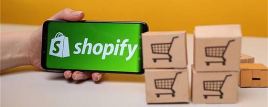 Shopify企業(yè)網(wǎng)站訂單分類